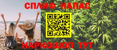 spice Кинель