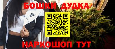 spice Кинель