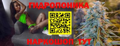 трава Кимры