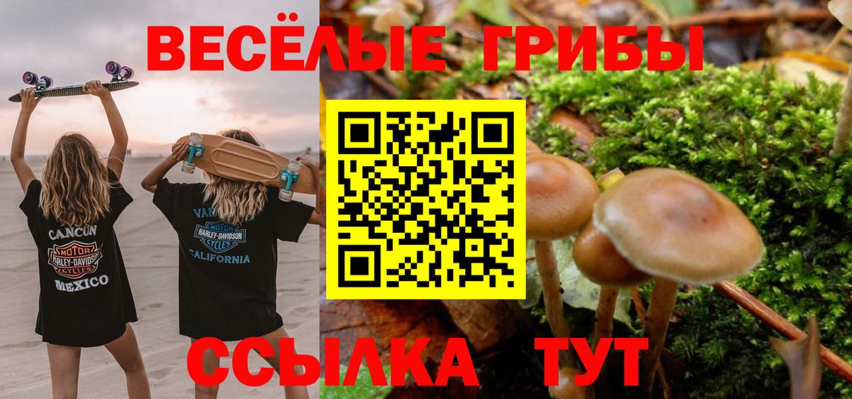 Арзамас  Галлюциногенные грибы мицелий  Вход с VPN 