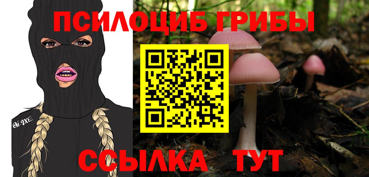 Псилоцибиновые грибы Psilocybe Арзамас